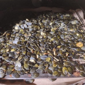 Масло штирийской тыквы 200 мл бутылка