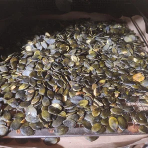 Масло штирийской тыквы 200 мл бутылка