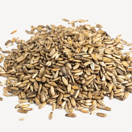 Семена расторопши