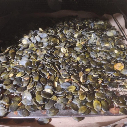 Масло штирийской тыквы 200 мл бутылка