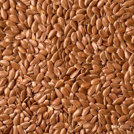 Семена льна коричневого